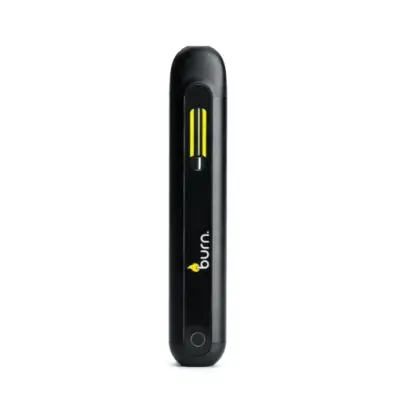 Burn Lifestyle Disposable Vape Pen – 2g