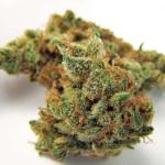 Northern Lights