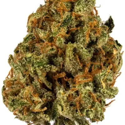 Super Lemon Haze