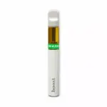 Boost Disposable THC Vape Pen – 1g